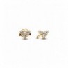 Pendientes chapado oro 14k forma corazon c/ czs Pandora